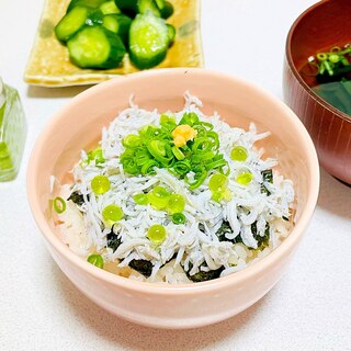 旬の釜揚げしらす丼  ～わさビーズのせ～